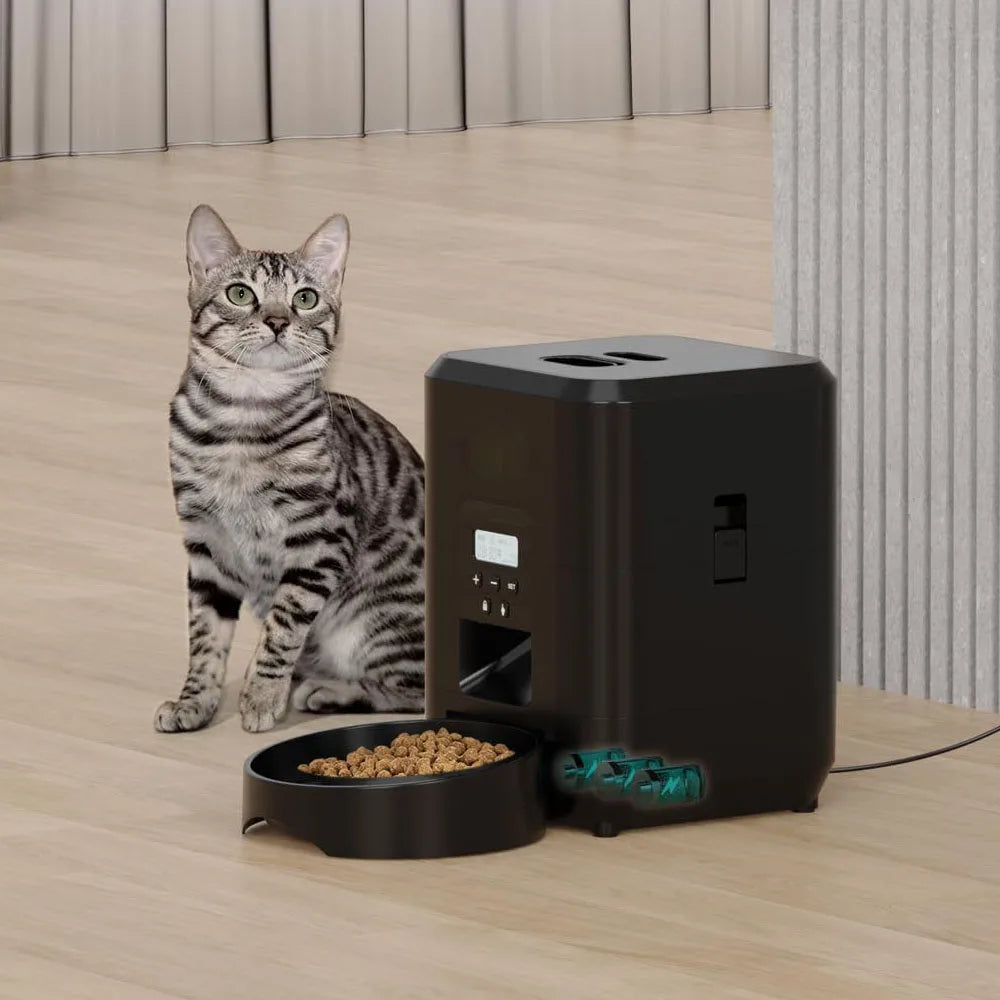 Mangeoire intelligente pour chien et chat