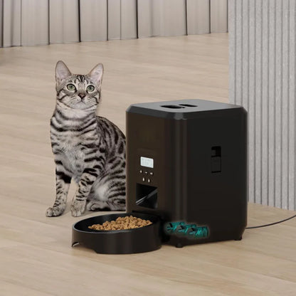 Mangeoire intelligente pour chien et chat